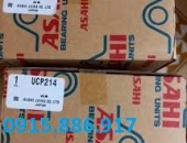 GỐI ĐỠ BẠC ĐẠN UCT 215 ASAHI